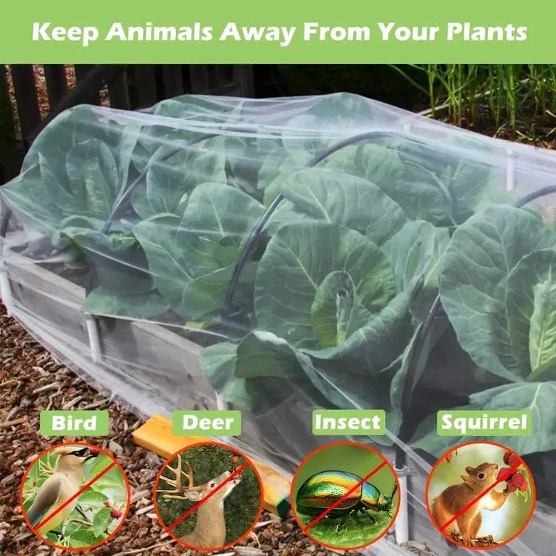 Plant & Vegetable Protection Cover, Anti-Bird, Anti-Bug Netting for Flowers & Fruits