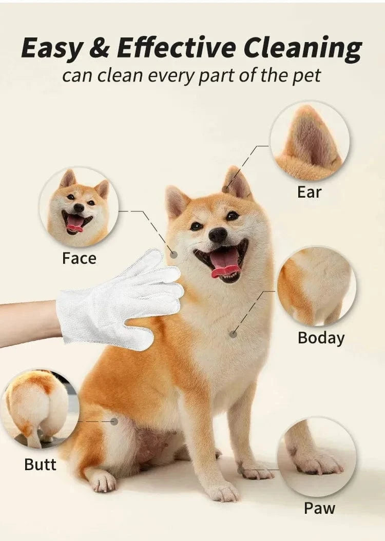 6pcs Pet Cleaning Gloves – Waterless Bath Wipes for Dogs & Cats