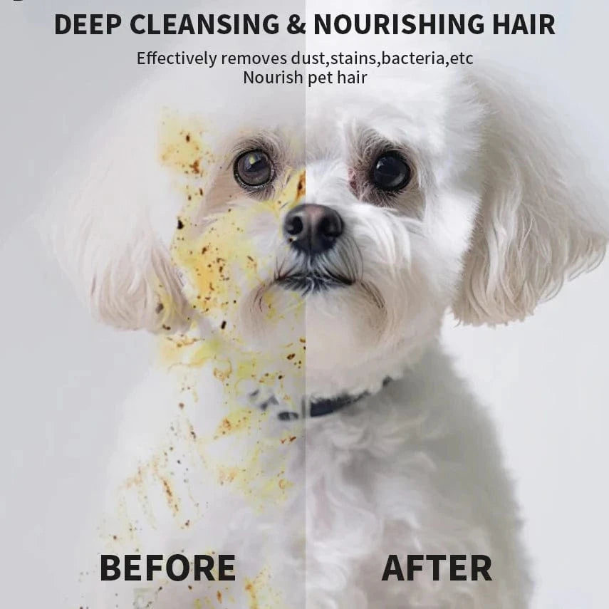 6pcs Pet Cleaning Gloves – Waterless Bath Wipes for Dogs & Cats
