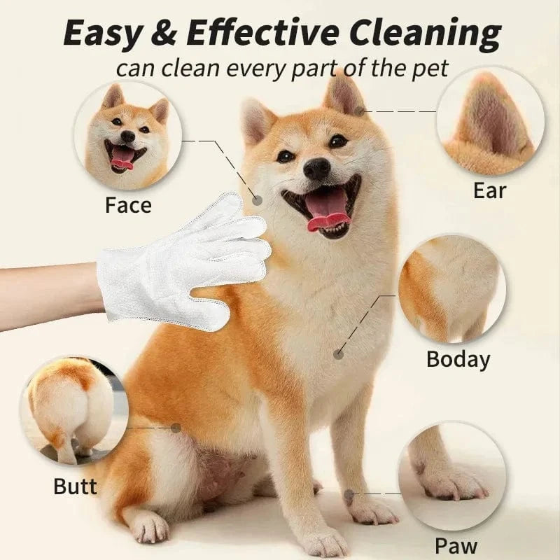 6pcs Pet Cleaning Gloves – Waterless Bath Wipes for Dogs & Cats