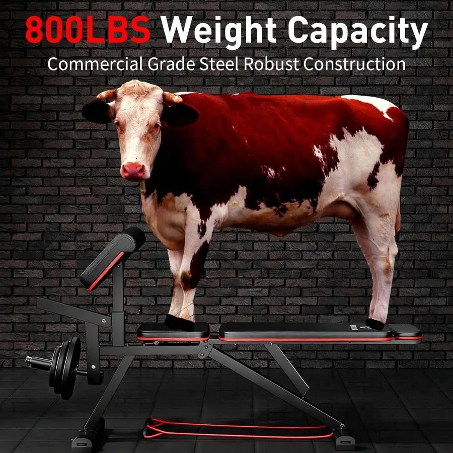 Hantelbank Trainingsbank klappbar, Schrägbank, Negativbank mit Beinverlängerung, Beintrainer, Trainingsgerät 800lb S