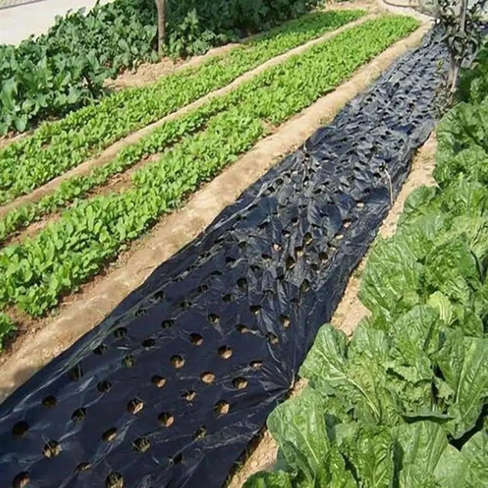 Pre - Punched Hole Plastic Mulch Film – Weed Control & Efficient Planting Solution - FastZen