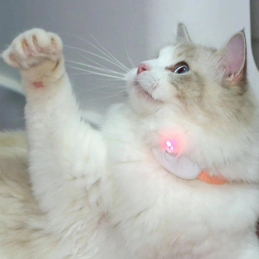 Smart Laser Cat Teaser Collar – USB Rechargeable Interactive Toy with Automatic Laser Pointer for Kitten Play & Training - FastZen