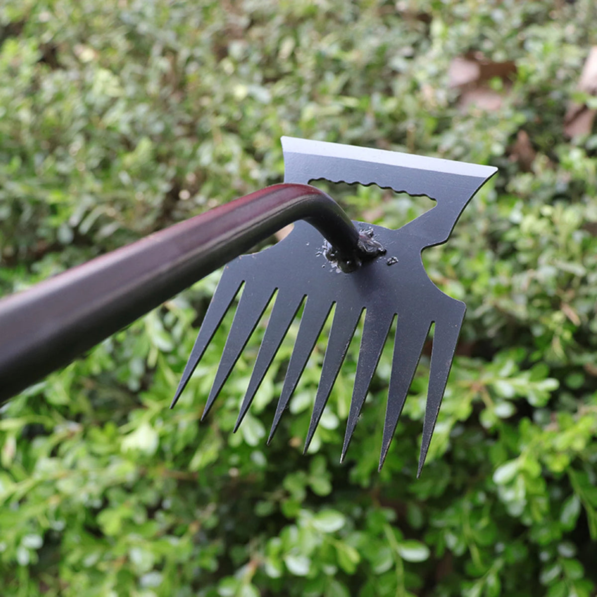 Pelle à livres de mauvaises herbes en métal 2 en 1, râteau de jardin en acier inoxydable, outil de désherbage à tête pour touristes, outil de désherbage de jardinage, 5 dents, 6 dents, 8/11 dents
