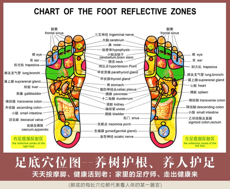1 Paar Fuß-Akupressur-Massagepantoffeln für Füße Unisex Zuhause Plantarfasziitis-Linderung Akupunkt-Reflexzonenmassage-Gesundheitspflege-Massagegerät