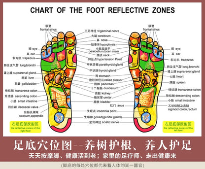 1 Paar Fuß-Akupressur-Massagepantoffeln für Füße Unisex Zuhause Plantarfasziitis-Linderung Akupunkt-Reflexzonenmassage-Gesundheitspflege-Massagegerät