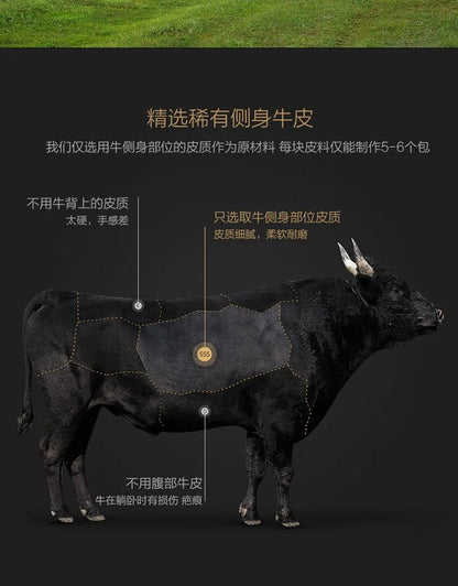 Designer Genuine Leather Sofas Fancy Modern Luxury Individual Loveseat Sofa Sectional Italian Sofy Do Salonu Home Furniture