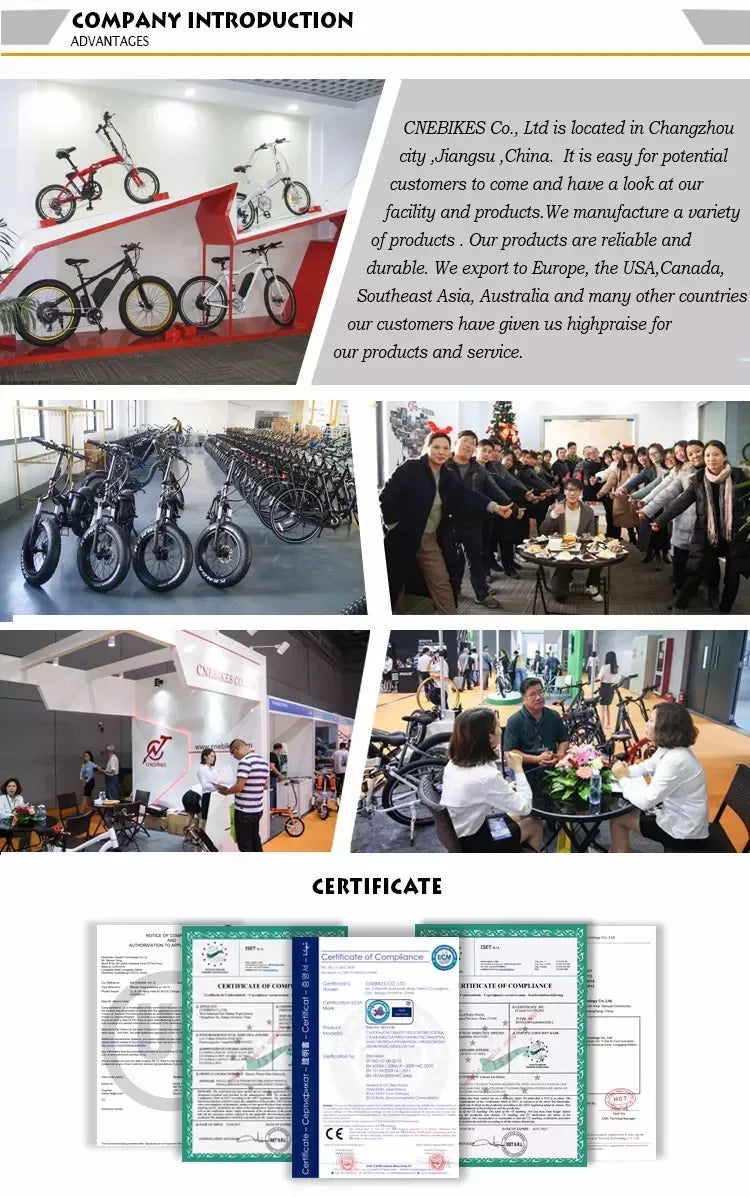 2022 CNEBIKES puissant vélo à main électrique 36V 22A 500w avec batterie 11,6ah