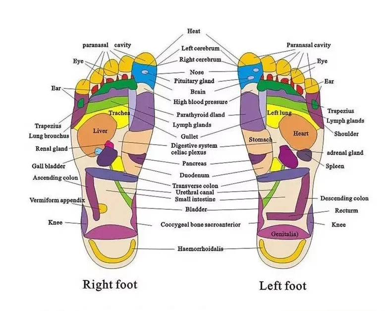 Acupoint Massage Slippers Massager Shoes For Feet Unisex Home Flip Flop Health Care Rotating Feet Chinese Acupressure