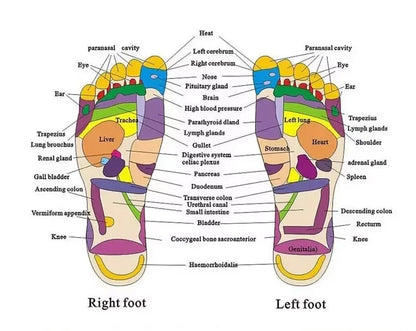 Acupoint Massage Slippers Massager Shoes For Feet Unisex Home Flip Flop Health Care Rotating Feet Chinese Acupressure