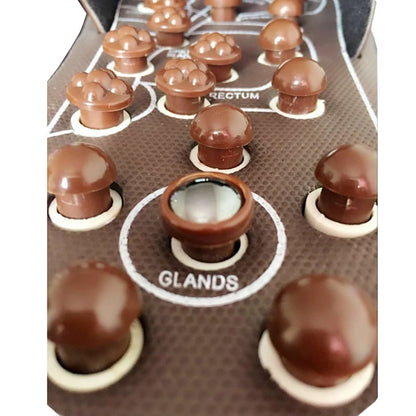 Foot Massage Acupuncture Slippers Acupoint Activation  Reflexology Spring Magnetic Therapy Relieve Foot Pain Meridians Arthritis