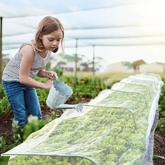 Plant & Vegetable Protection Cover, Anti-Bird, Anti-Bug Netting for Flowers & Fruits