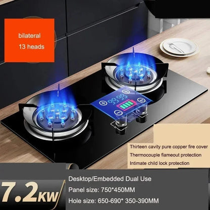Desktop Electric & Gas Stove – Dual Household Embedded Natural Gas & LPG Cooker - FastZen