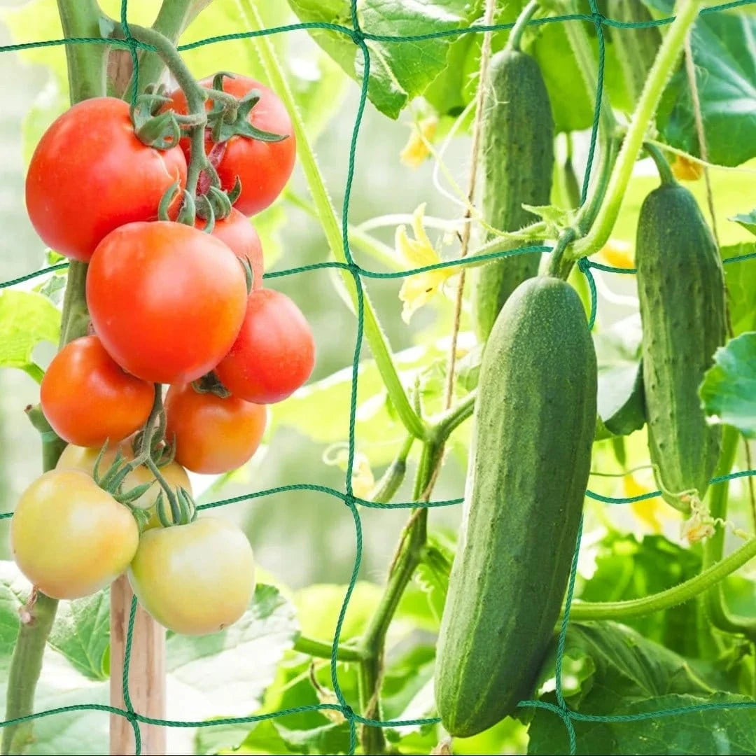 Filet de Culture à Mailles Carrées pour Plantes Grimpantes et Légumes - FastZen