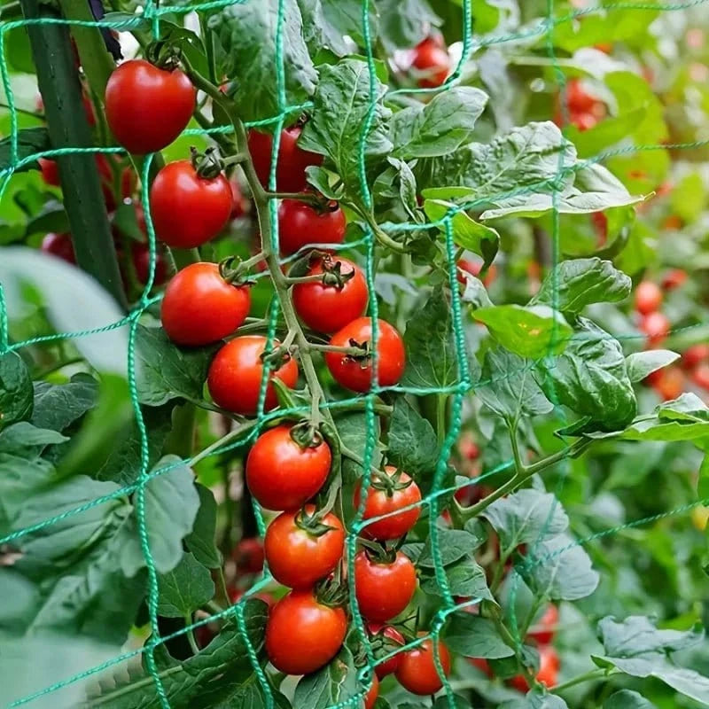 Filet de Culture à Mailles Carrées pour Plantes Grimpantes et Légumes - FastZen