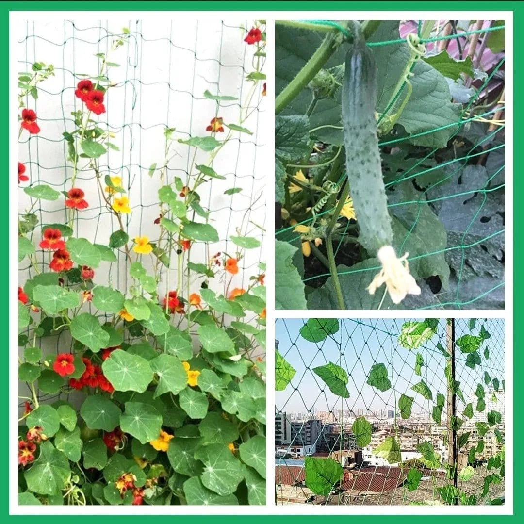 Filet de Culture à Mailles Carrées pour Plantes Grimpantes et Légumes - FastZen