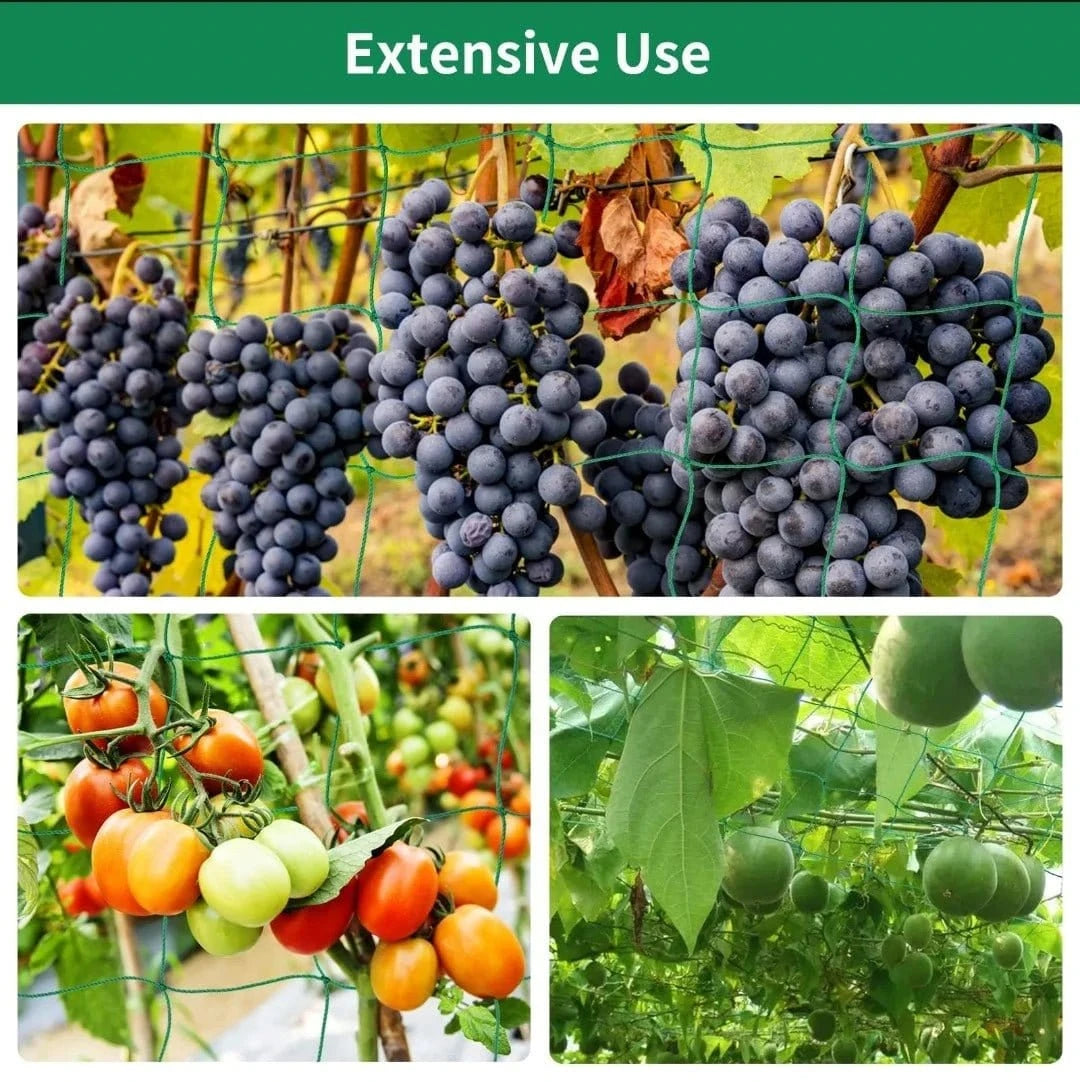 Filet de Culture à Mailles Carrées pour Plantes Grimpantes et Légumes - FastZen