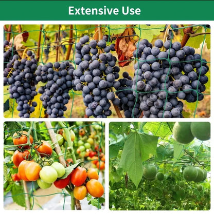 Filet de Culture à Mailles Carrées pour Plantes Grimpantes et Légumes - FastZen