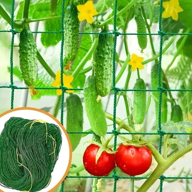 Filet de Culture à Mailles Carrées pour Plantes Grimpantes et Légumes - FastZen