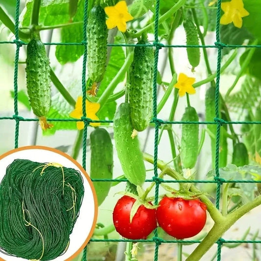 Filet de Culture à Mailles Carrées pour Plantes Grimpantes et Légumes - FastZen