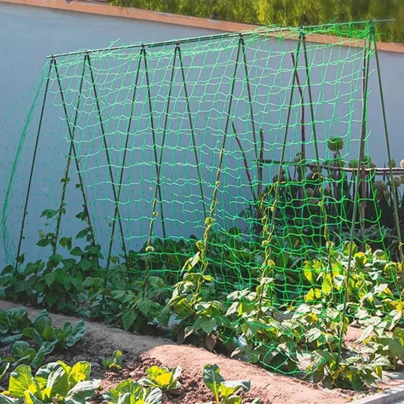 Filet de Culture à Mailles Carrées pour Plantes Grimpantes et Légumes - FastZen