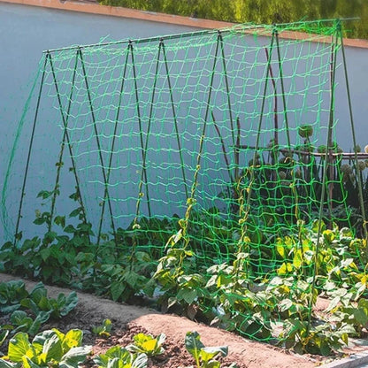 Filet de Culture à Mailles Carrées pour Plantes Grimpantes et Légumes - FastZen