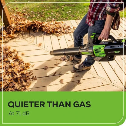 Greenworks 60V Cordless Leaf Blower, 450 CFM, Includes 2.0Ah Battery & Rapid Charger - FastZen