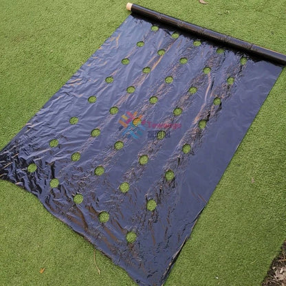 Pre - Punched Hole Plastic Mulch Film – Weed Control &amp; Efficient Planting Solution - FastZen