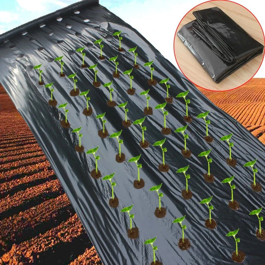 Pre - Punched Hole Plastic Mulch Film – Weed Control &amp; Efficient Planting Solution - FastZen