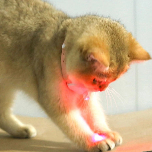 Smart Laser Cat Teaser Collar – USB Rechargeable Interactive Toy with Automatic Laser Pointer for Kitten Play &amp; Training - FastZen