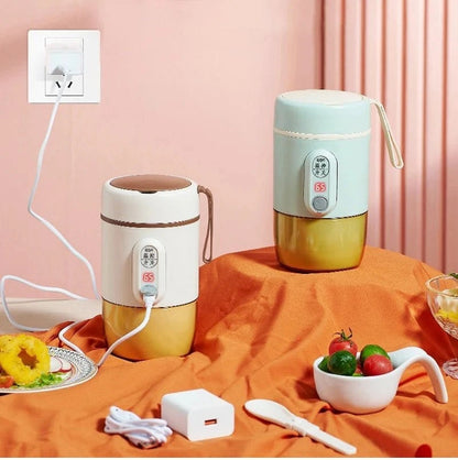 USB Type - C Electric Heated Lunch Box – 12V/24V/5V 20W Portable Food Warmer with LED - FastZen